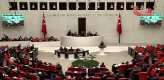 TBMM Genel Kurulu... CHP'li Gökçe Gökçen: 'Bir Kişi Hangi Fiilinin Sonucunun Ne Olacağını Bilmek Zorundadır. Bunu Sağlamak Zorundasınız'