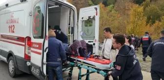 Zonguldak'ta Devrilen Otomobilde Çift Yaralandı