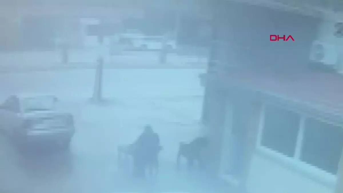 ADANA Kuzen cinayetinde görüntüler ortaya çıktı