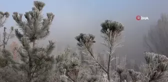 Ardahan'da Dondurucu Soğuklar Etkili Oluyor