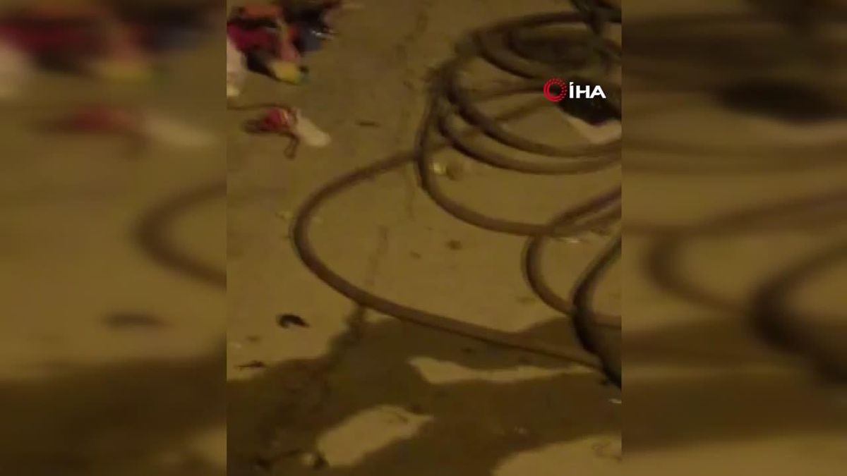 Çekmeceye Giren Yılan Paniğe Neden Oldu