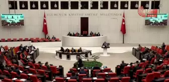 CHP'nin Kaz Dağları'nın Madencilik Çalışmalarına Açılmasının Araştırılması Önerisi Reddedildi...