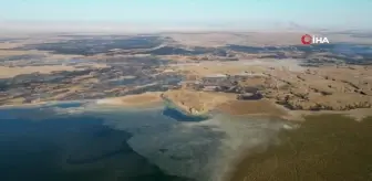 Eber Gölü'ndeki Yangınlar Çevre Felaketine Neden Oldu