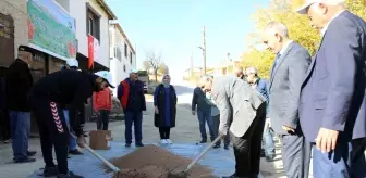 Elazığ'da Organik Mercimek Üretiminde Artış