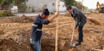 Erbaa Belediyesi Yılmaz Kayalar Bulvarı'nda 350 Huş Ağacı Fidanı Dikti