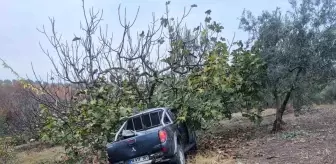 Bursa'da Mevsimlik İşçileri Taşıyan Kamyonet Ağaçla Çarpıştı: 1 Ölü, 7 Yaralı