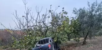 Mudanya'da Mevsimlik İşçileri Taşıyan Kamyonet Kaza Yaptı: 1 Ölü, 7 Yaralı