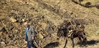 Sonbaharın Renkleri Fotoğraf Tutkunlarını Bitlis'te Buluşturdu