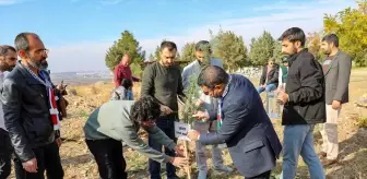 Diyarbakır'da Gazze İçin Fidan Dikme Etkinliği