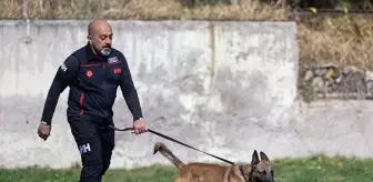 İHH Arama Kurtarma Köpeği Bozo, Sınavda Birinci Oldu