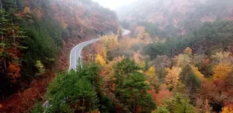 Kazdağları'nda Sonbahar Renk Cümbüşü