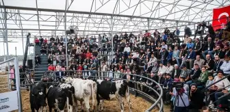 Adana'da Genç ve Kadın Üreticilere Yem Desteği Sağlayan Mezat Düzenlendi