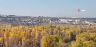 Diyarbakır Hevsel Bahçeleri'nde Sonbahar Renkleri