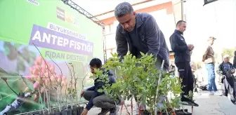 Konya'da Çiftçilere Antep Fıstığı Üretimi Desteği