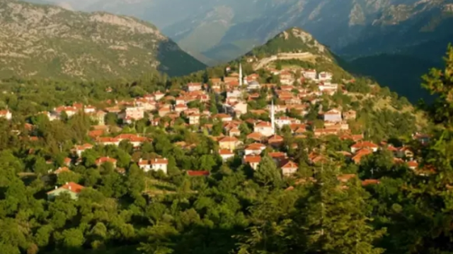 Ormana köyün nerede, hangi ile bağlı? Ormana köyü resimleri!