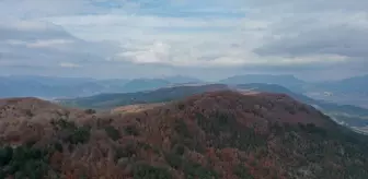 Andırın'ın Kayın Ormanları Sonbaharda Göz Kamaştırıyor