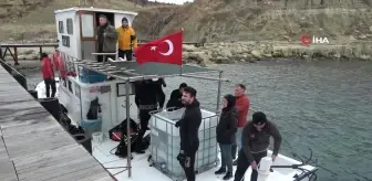 Çanakkale Savaşları'ndan kalma 109 yıllık 'HMS Majestic' batığına 400 ıstakoz salındı