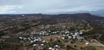 Manavgat'taki Orman Yangını Sonrası Doğa Yeniden Canlanıyor