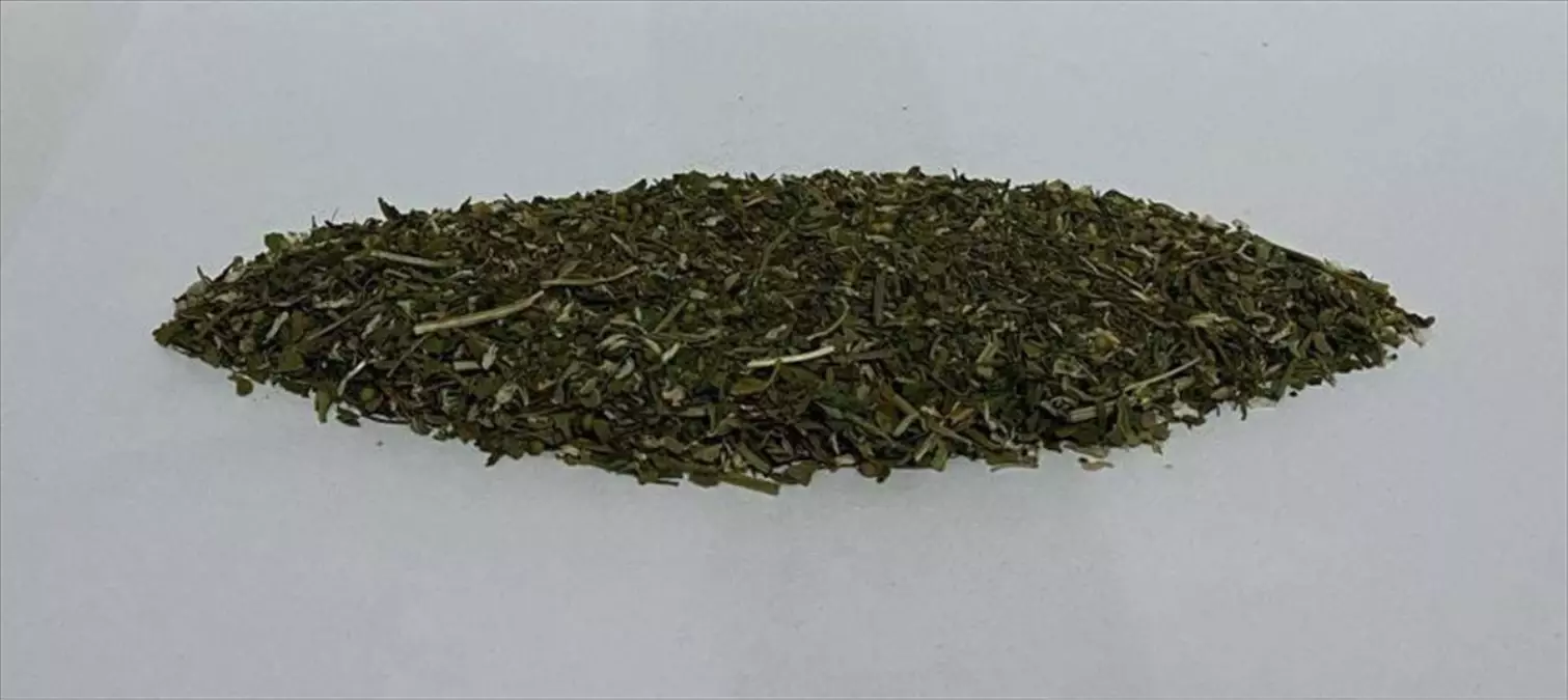 Tekirdağ'da Uyuşturucu Operasyonu: 11 Gözaltı