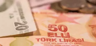 Yeni 5 ve 50 TL'lik banknotlar tedavüle çıktı