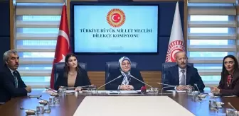 TBMM Akran Zorbalığı Alt Komisyonu toplandı