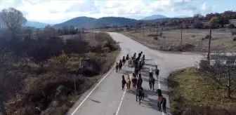 Isparta'da Yılkı Atları Gruplar Halinde Görüntülendi