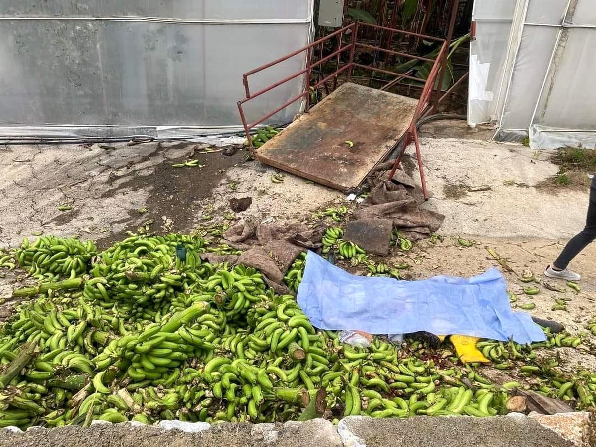 Alanya'da Muz Serasında İş Kazası: 2 Ölü, 2 Tutuklama