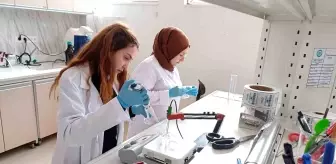 Bitlis Eren Üniversitesi'nin Bal Analizi Laboratuvarı Uluslararası Akreditasyon Hedefliyor