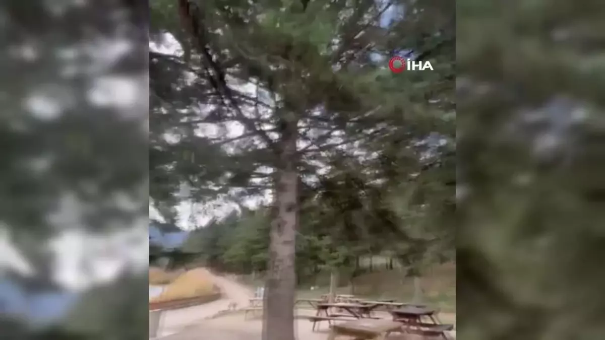 Bolu'da Kuvvetli Rüzgar Günlük Yaşamı Olumsuz Etkiliyor