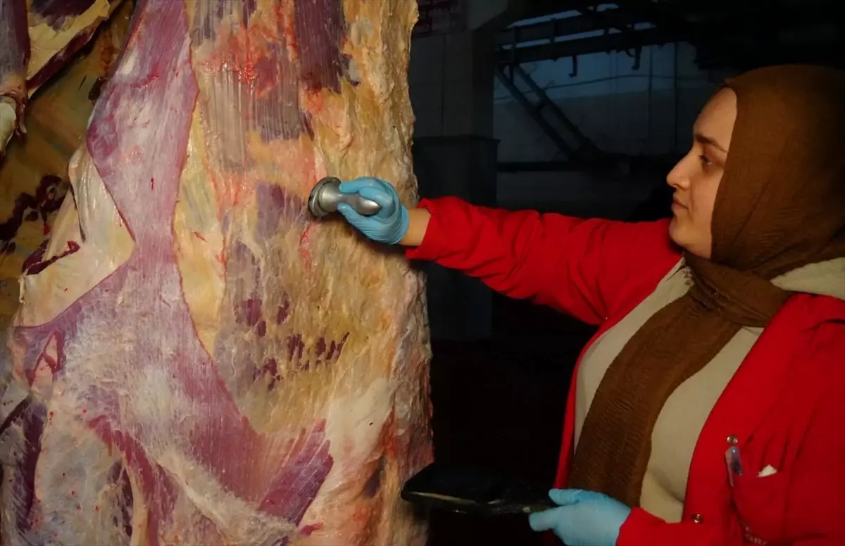 Düzce'de Genç Erkekler Halter Müsabakaları Gerçekleşti