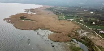 İznik Gölü'nde su seviyesi kritik düzeye düştü