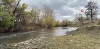 Edirne'de Tunca Nehri'nde Kuraklık Alarmı