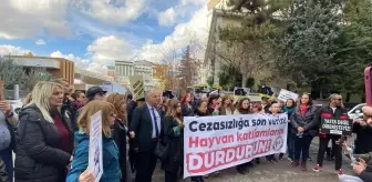 Ankara Barosu Hayvan Hakları Merkezi'nden 'Katliam Yasası'na Protesto