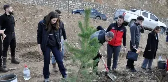 Çukurca'da şehit öğretmenler anısına fidan dikildi