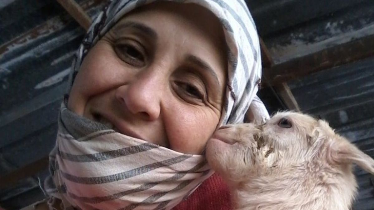 Kayıp olarak aranan 'Hanımağa' sessizliğini bozdu