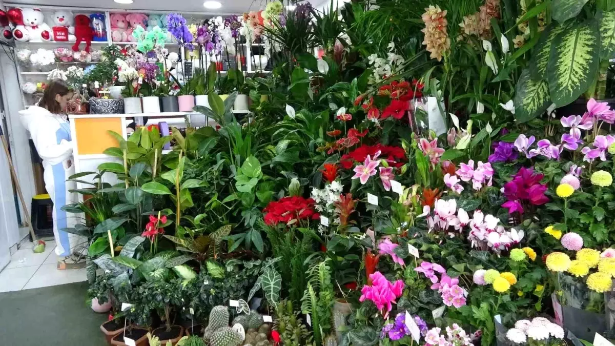 Van'da Öğretmenler Günü Hazırlıkları Hız Kazandı