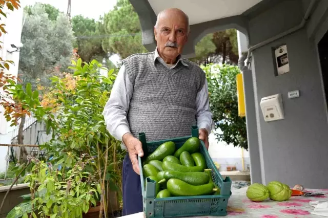 Retired Teacher's Tropical Garden: Growing 200 Varieties of Fruits