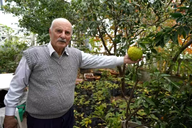 Retired Teacher's Tropical Garden: Growing 200 Varieties of Fruits