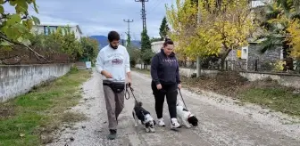 Köpek Eğitimi Artık Evde: Baybars Üregen ile Yeni Yaklaşım