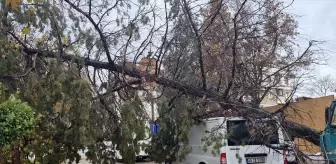 Turgutlu'da Kuvvetli Rüzgar ve Sağanak Hayatı Olumsuz Etkiledi