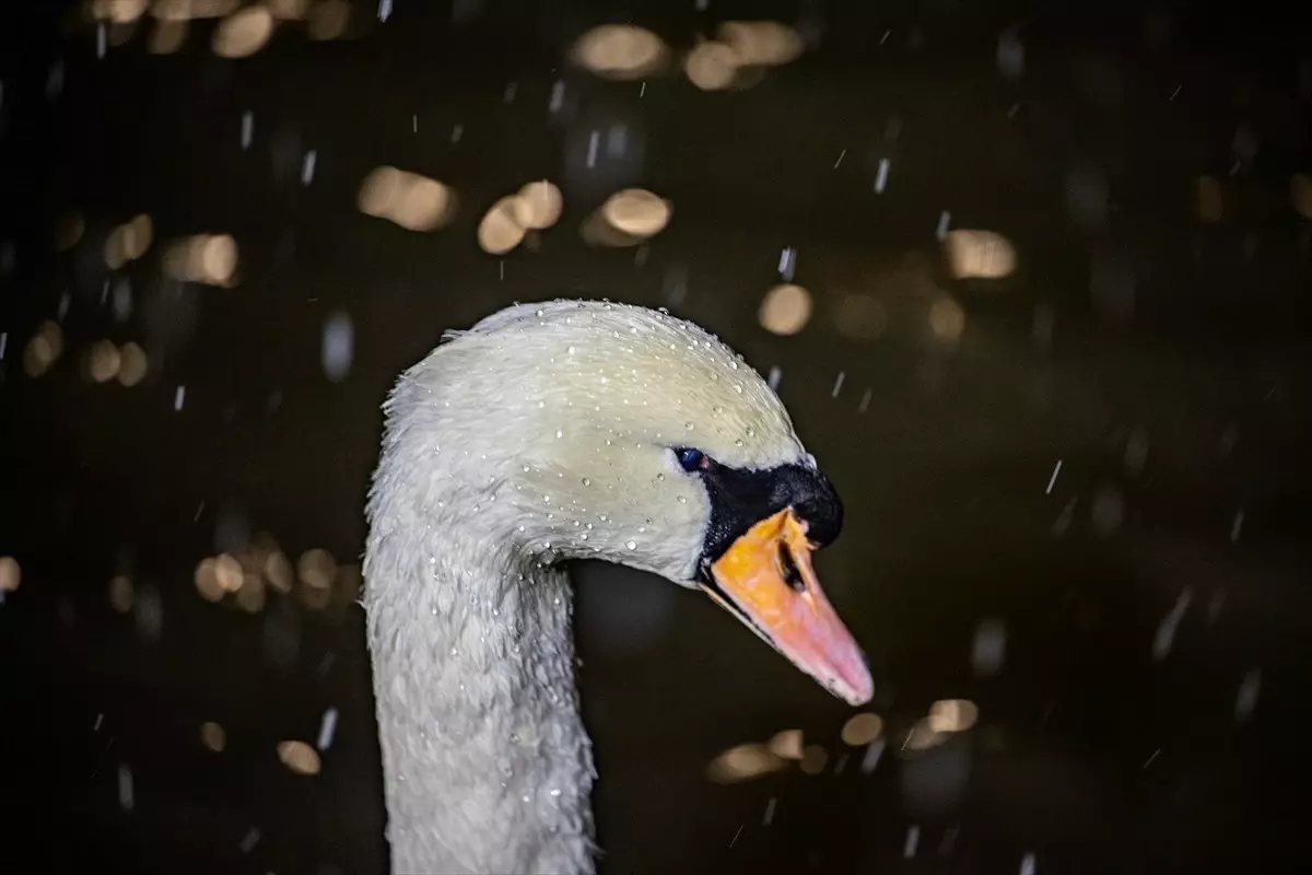 Ankara Beyaz Örtüyle Kaplandı