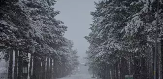 Tokat'ta Kar Yağışı Devam Ediyor: Yol Kapanmaları Yaşanıyor