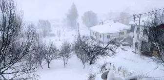 Kayseri'de Kar Yağışı Develi ve Tomarza'yı Beyaza Bürüdü