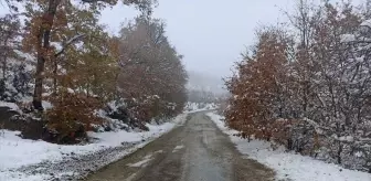 Bilecik'in Yüksek Kesimlerinde Kar Yağışı Etkili Oldu