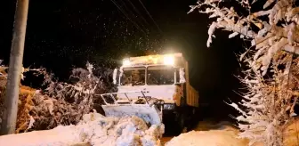 Sakarya'da Kar Yağışı Sonrası Kapalı Mahalle Yolu Yok