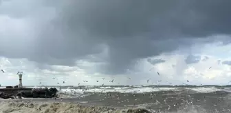 Kocaali'de Olumsuz Hava Koşulları Balıkçıları Vurdu