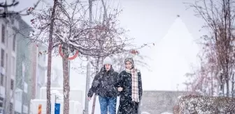 Erzurum, Erzincan ve Tunceli'de Yoğun Kar Yağışı Etkili Oldu