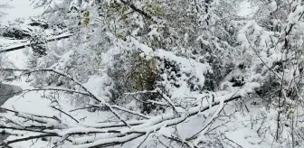 Kastamonu İhsangazi'de Kar Yağışı Hayatı Etkiledi