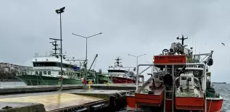 Karadeniz'de Kötü Hava Koşulları Balıkçılığı Vurdu