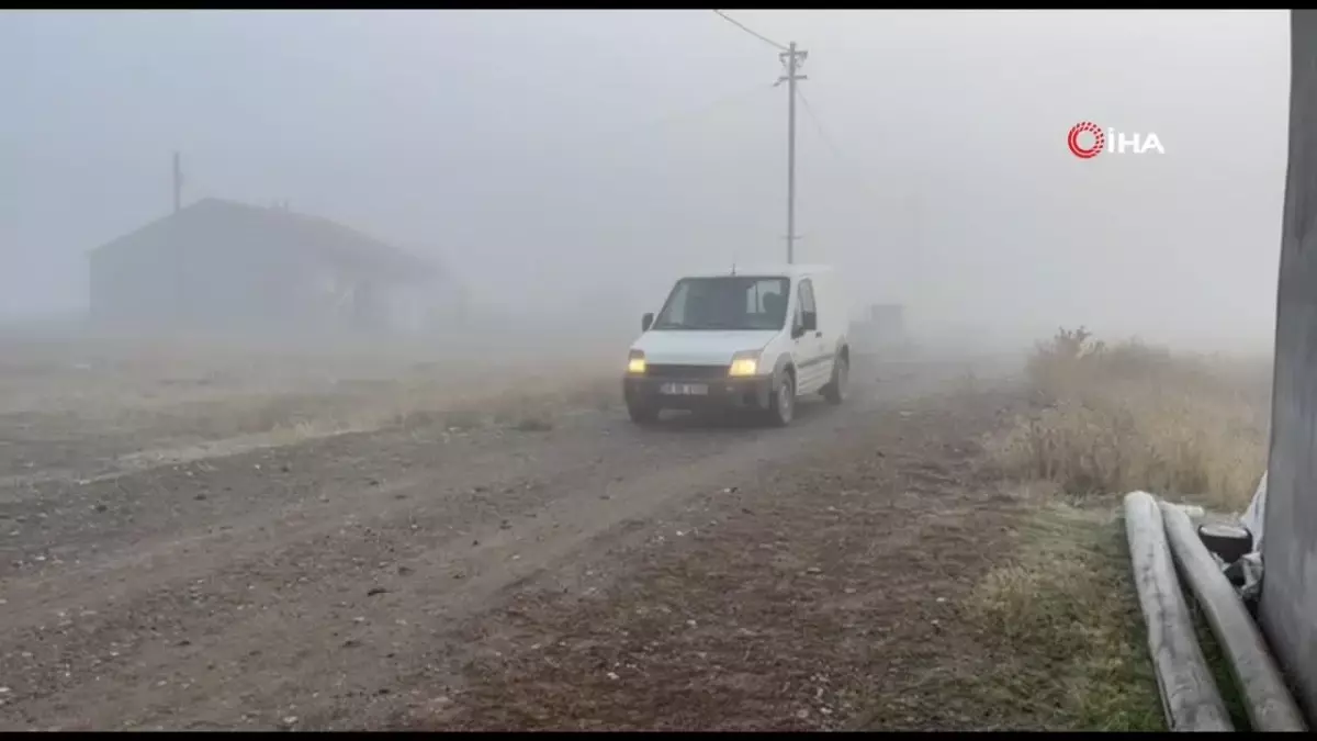 Ağrı'da Soğuk Hava ve Don Etkisi